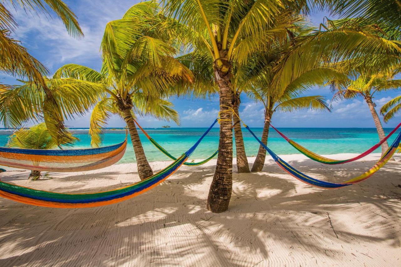Pelican Beach Resort South Water Caye Dangriga Eksteriør bilde
